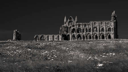 Black and white photograph of Whitby Abbey in Yorkshire, UK from across the fieldのeditorial素材