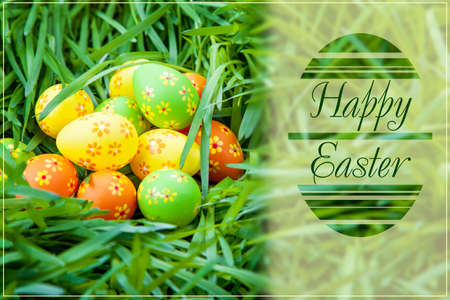 Colored Easter eggs on grass background cardの写真素材
