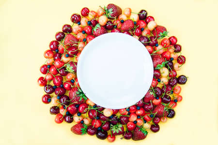 Many fresh fruits are round white circleの写真素材