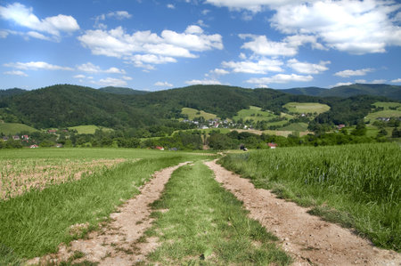 Landscape in the Black-forest, Germany