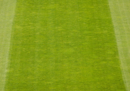 Detail of Soccer Field Grass in a Stadium