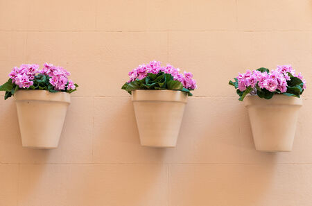 flowerpots with pink flowers hanging on a house wallの写真素材