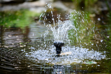 Small fountain in the pond