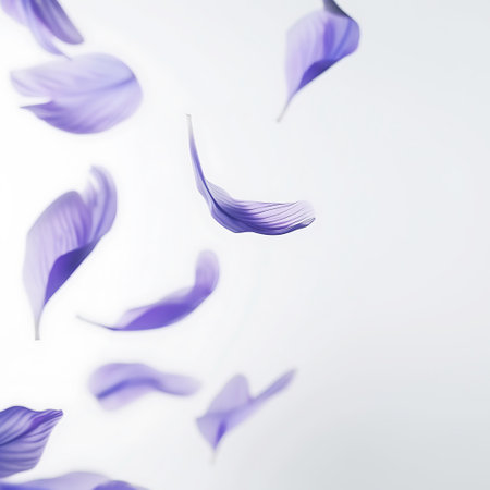 Purple petals of crocus on a white background. Place for text.の素材