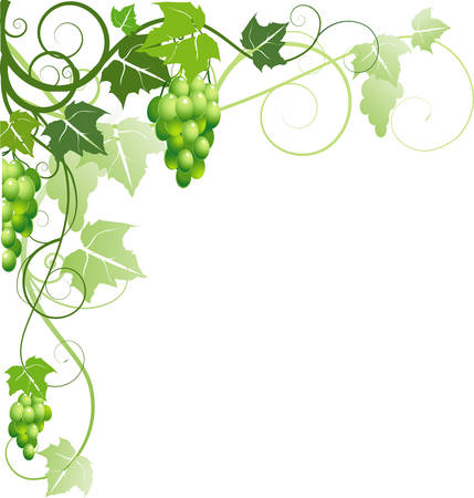 Ornament with grapesのイラスト素材