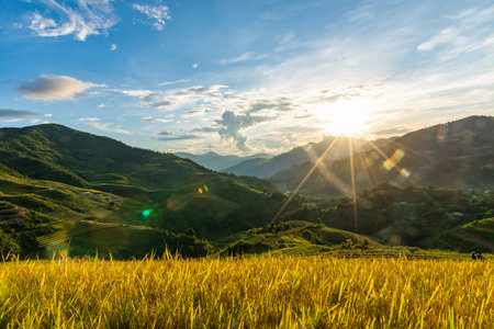 A beautiful terraced field plot in Tua Chua district, Dien Bien province, Vietnam