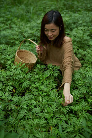 Mining wormwoodのeditorial素材