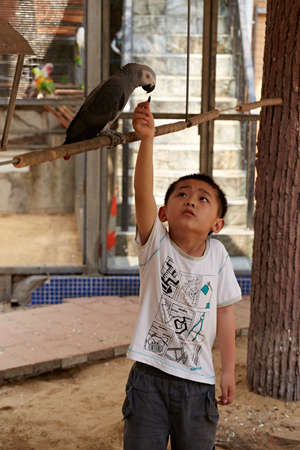 boy feeding a birdのeditorial素材