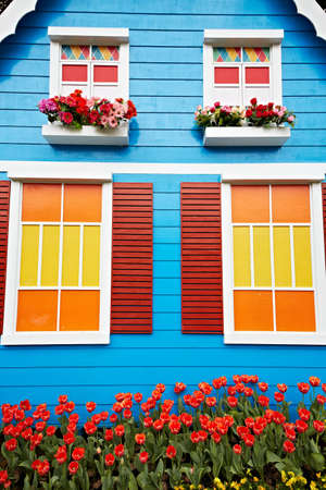 Tulipのeditorial素材