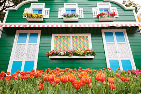 Tulipのeditorial素材