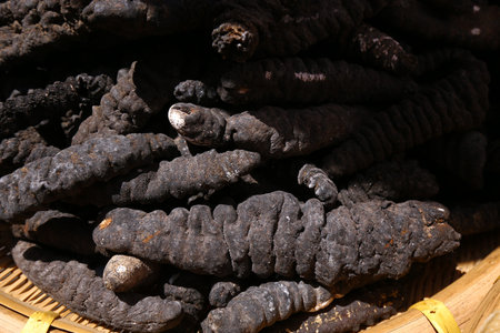Australian dry sea cucumbers