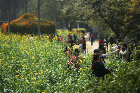 Guangzhou Baiyun mountain flower of rape, tourists visit and taking pictureのeditorial素材
