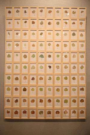 Guangzhou Acmdemy of Fine Arts Graduation Exhibition