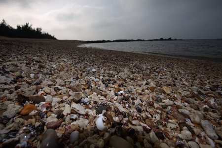 Pebble Beachの写真素材