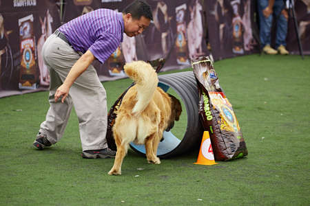 Dog agilityのeditorial素材