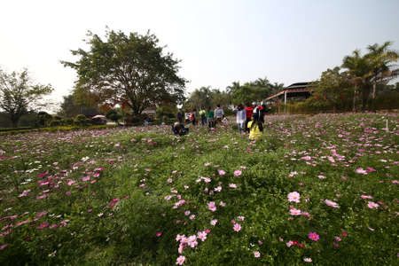 Kaiping Gardenのeditorial素材