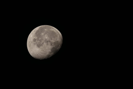 Night moon