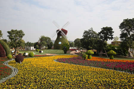 Flower fieldのeditorial素材