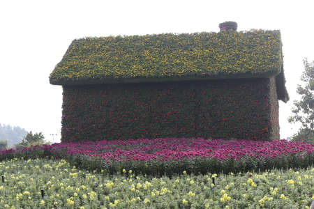 Flower houseのeditorial素材