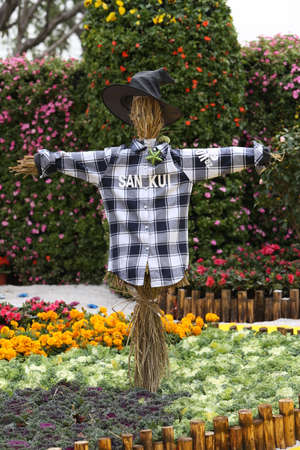 The flowers and the Scarecrowのeditorial素材
