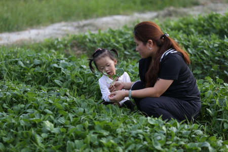 parent-child activitiesのeditorial素材