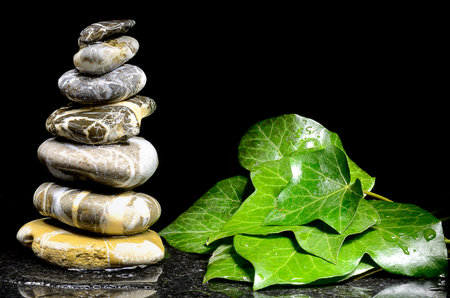 Still life with stacks of pebbles and ivy leavesの写真素材