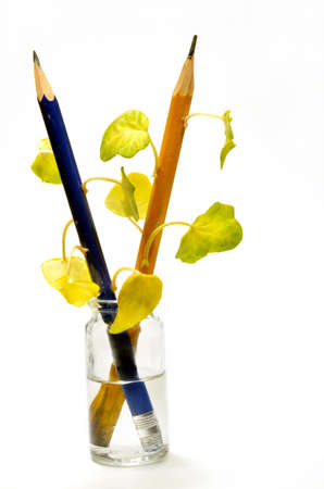 Pencils in vial with water and  leaves on themの写真素材