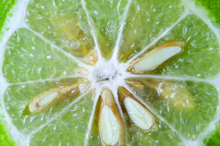 bergamotの写真素材