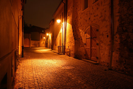 night roadの写真素材