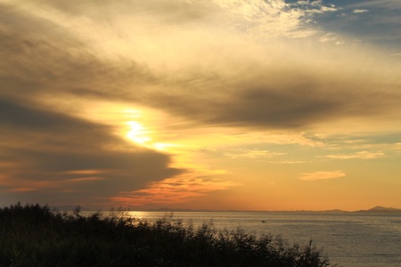 Bright decline at coast of sea Japanの写真素材