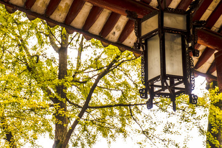 Yuelu Academyのeditorial素材