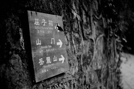 Yuelu Academyのeditorial素材