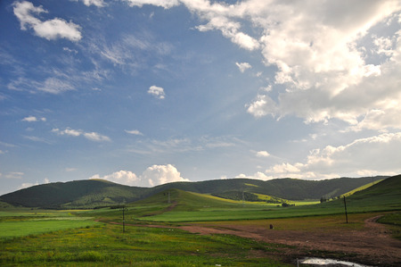 Green grassland under blue sky with white cloudsの写真素材