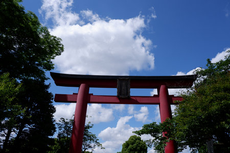 Kameido tenjin of Tokyo, Japanのeditorial素材