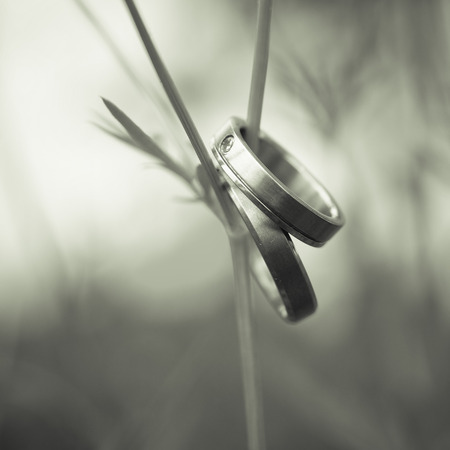 wedding ringsの写真素材