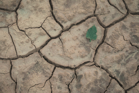 dry cracked soilの写真素材