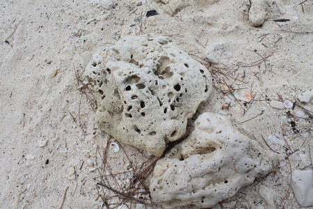 Rock And Seaの写真素材