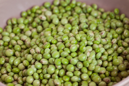 Green pigeon peaの写真素材