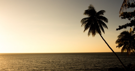 beach sunset in the pacificの写真素材