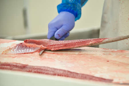 Cut fish fillet in a fish shop, chef cutting red fish in the kitchen