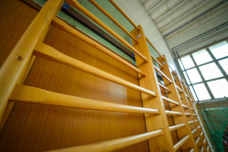 The image of a wall bars ladders in gym