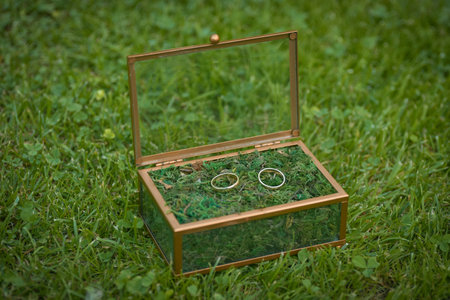 Wedding engagement rings close up lying on moss. Nature wedding. Rustic style decoration. Selective focus.の写真素材