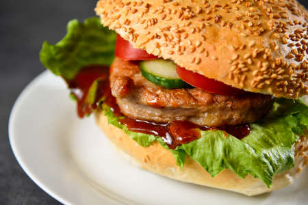 Cheeseburger with beef, tomato, lettuce and onion on dark stoneの写真素材