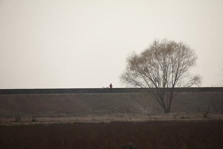 Solo traveler under the tree with his bikeのeditorial素材