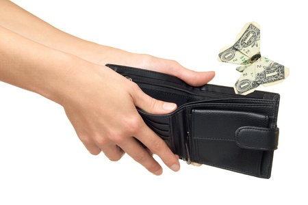 Dollar folded into a butterfly and fly away from wallet