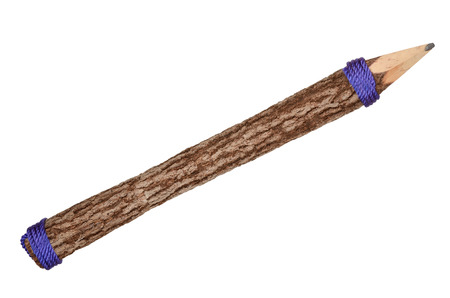 Pencil stylized tree branch. Isolated on the white background. With clipping pathの写真素材