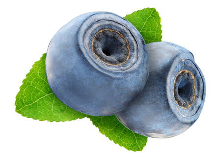 Ripe wild blueberry or bilberry  isolated on white backgroundの写真素材