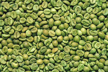 Pile of green robusta coffee beans. Top view background or texture.の写真素材