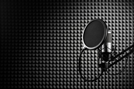 Professional microphone on the black sound proof panel background. Recording studio, copy space.の写真素材