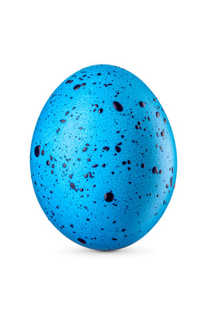 Blue spotted decorative Easter egg isolated on a white background.の写真素材